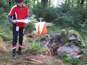 Auf der Strecke Auf der Strecke