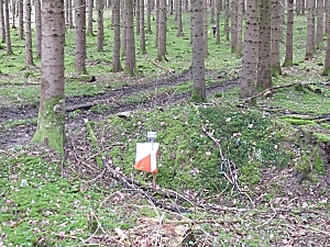 Posten im Hochwald Posten im Hochwald