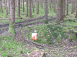 Posten im Hochwald