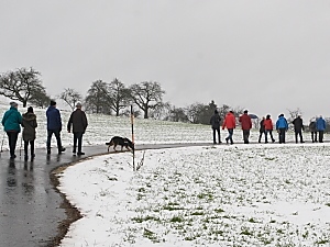 Auf der Strecke 2019