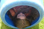 Bild_008