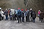 Bild_006