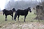 Bild_007