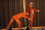 Bild_037