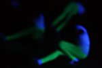 Bild_171