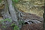 Bild_038