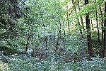 Bild_045