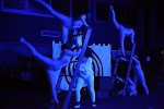 Bild_230