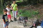 Bild_035