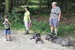 Bild_039