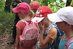 Bild_056