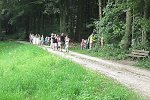 Bild_060