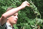 Bild_070