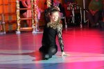 Bild_138