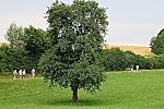 Bild_019