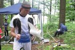 Bild_035