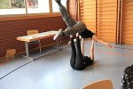 Bild_063