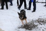 Bild_017
