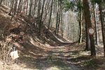 Bild_061