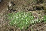 Bild_062