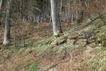 Bild_063