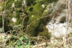 Bild_064