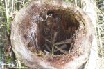 Bild_071