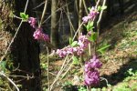 Bild_075