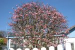 Bild_084