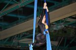 Bild_102