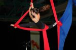 Bild_103