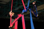 Bild_104