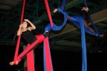Bild_105