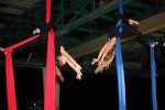 Bild_107