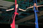 Bild_108
