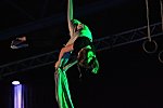 Bild_055