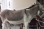 Bild_002