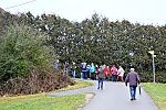 Bitte hier für die Galerie klicken Bild_010