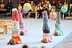 Bitte hier für die Galerie klicken Bild_016