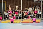 Bitte hier für die Galerie klicken Bild_029