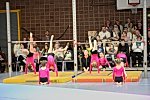 Bitte hier für die Galerie klicken Bild_030