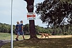 Bitte hier für die Galerie klicken Bild_018