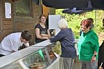 Bitte hier für die Galerie klicken