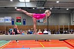 Bitte hier für die Galerie klicken Bild_017